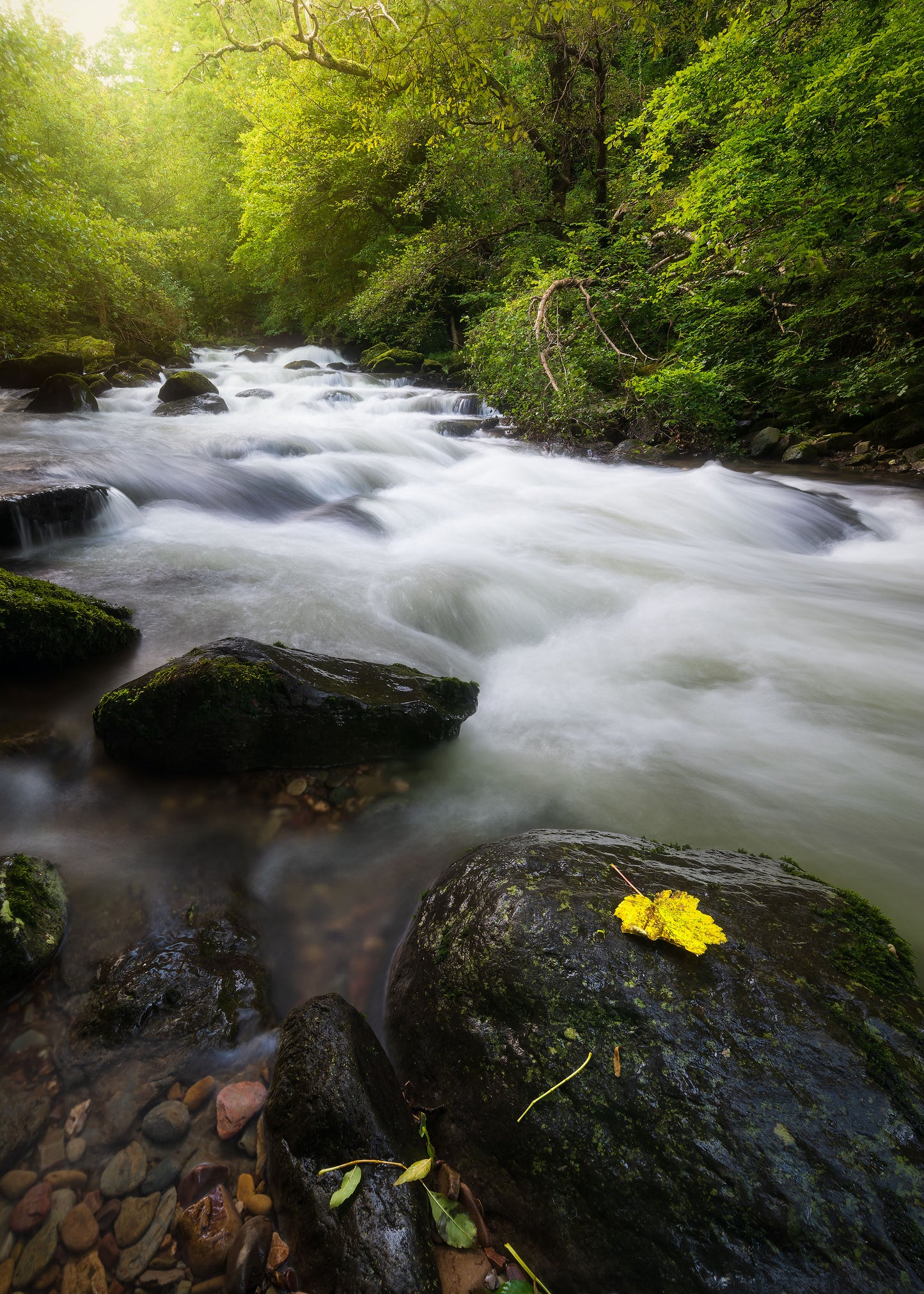 Exquisite Themed Photographs Collection