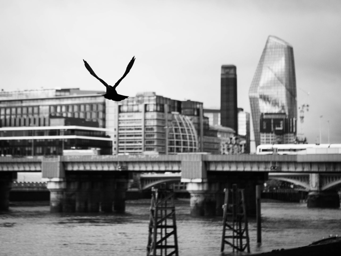 Exquisite Themed Photographs Collection
