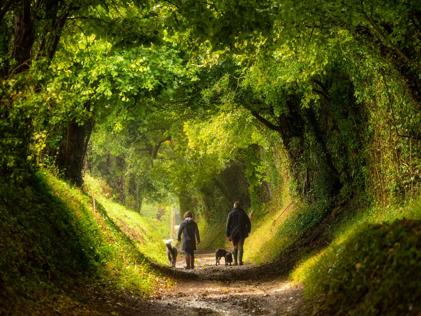 Exquisite Themed Photographs Collection